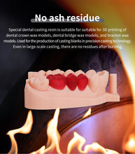 Load image into Gallery viewer, Pionext | Dental Casting Resin
